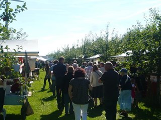 Fair Bloeiende Goed in Vogelenzang