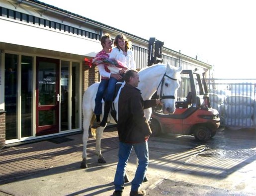 Het bestaat nog, een prins op een wit paard