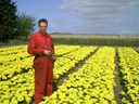 Ted bindt de strijd aan tegen de luizen