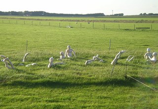 Zwemmers gemaakt door De Springschans uit Petten